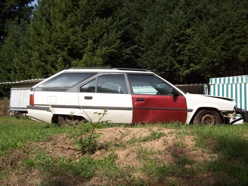 101_0010.jpg