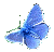 L'argus bleu L'argus bleu