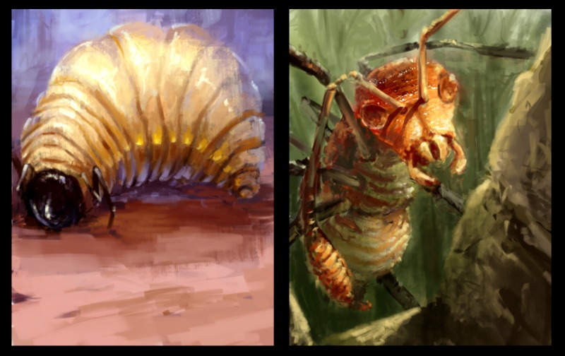 bug01-10.jpg