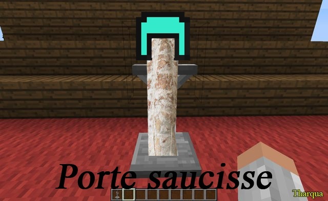 screen sympa autour de minecraft - Page 5 Porte_11.jpg