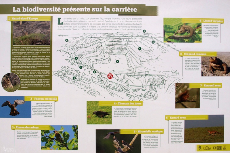 Image hébergée par servimg.com