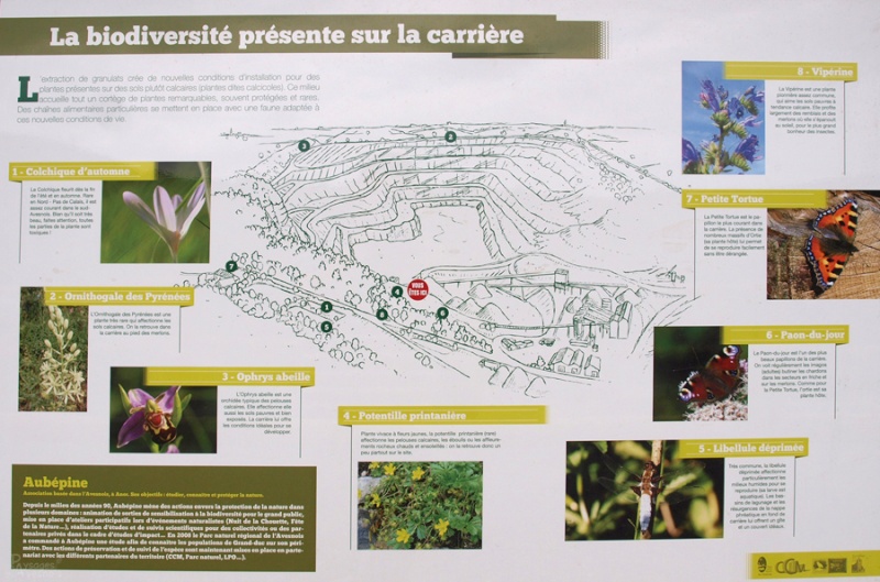 Image hébergée par servimg.com