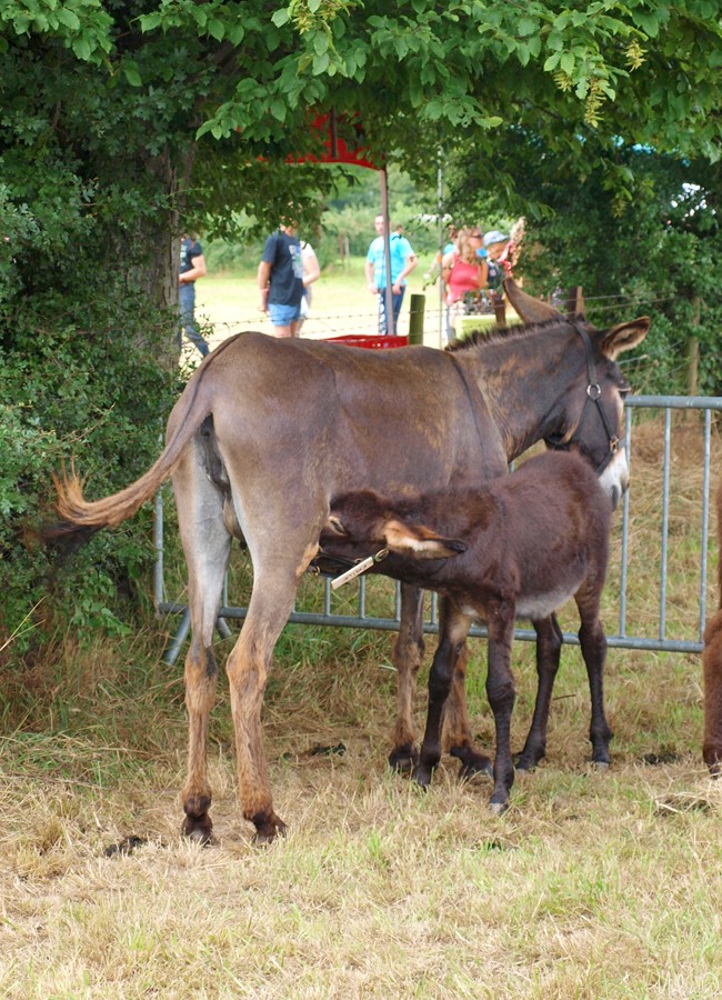 Image hébergée par servimg.com