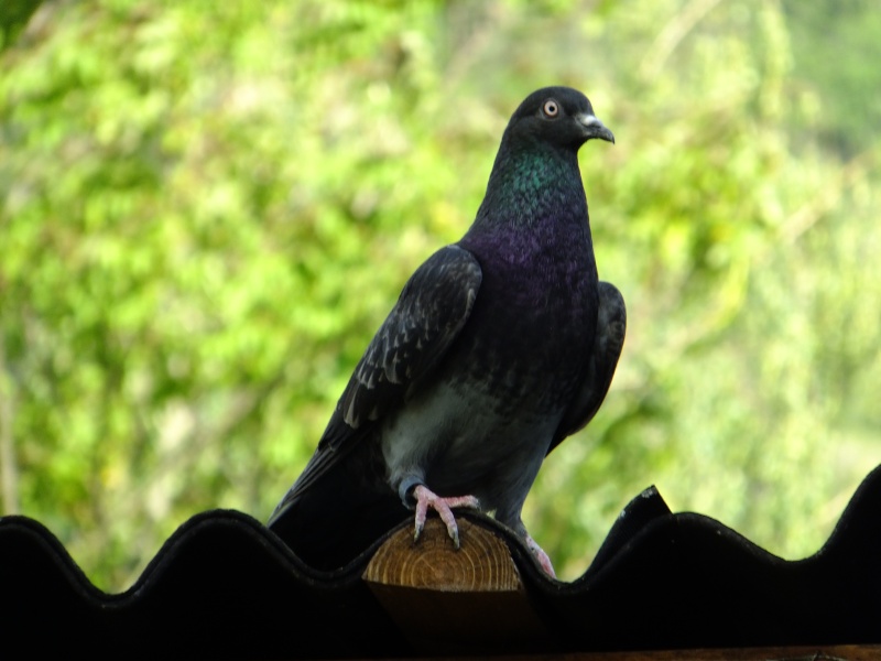 dscf3110.jpg