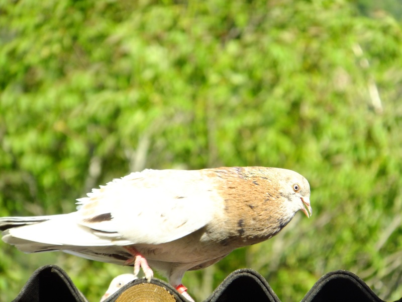 dscf3213.jpg