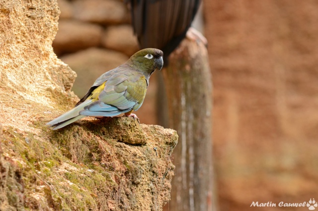 rencontre doue la fontaine