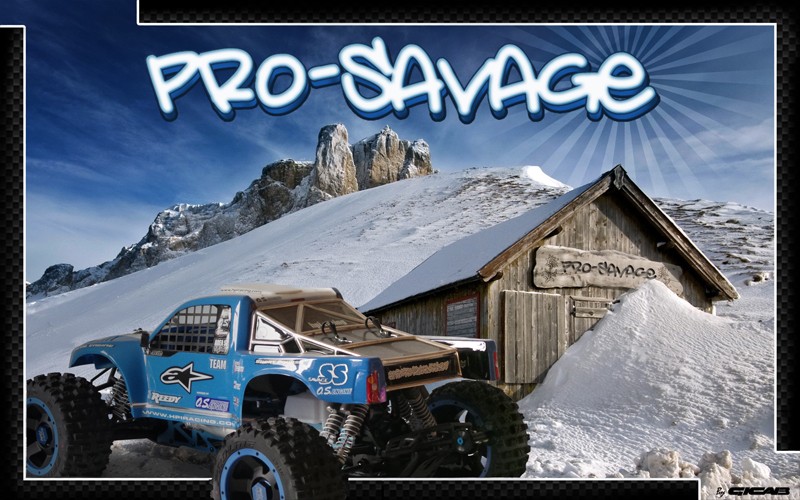 Forum Pro-Savage