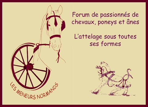 Forum d'Attelage, Les Meneurs Normands