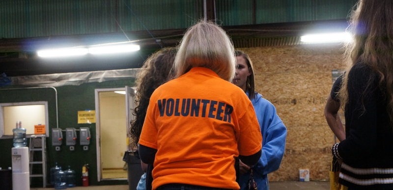 Volunteer