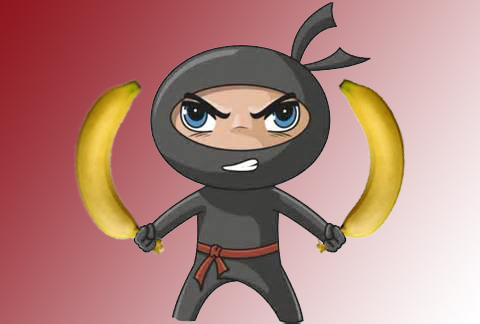 ninja_10.jpg