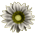 منتدى مُقفل
