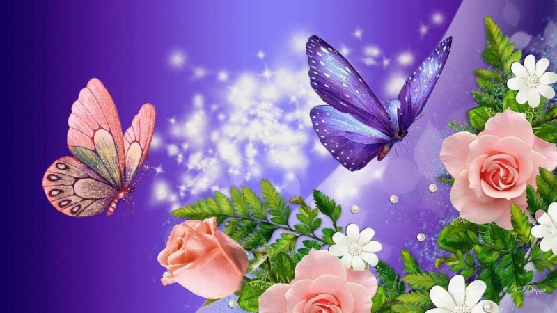 papillons et fleurs