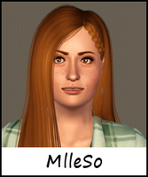 mlleso12.png