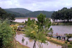 dalat011.jpg