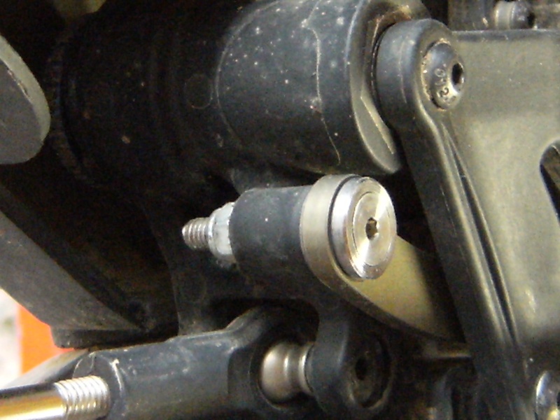 losi_519.jpg