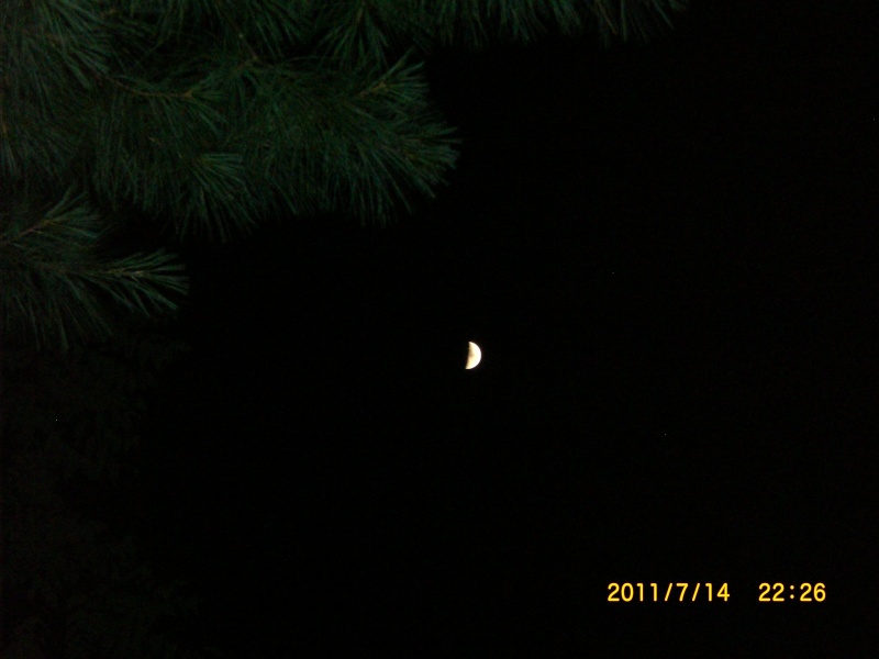 moon_019.jpg