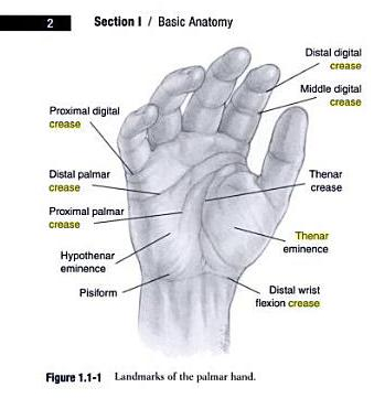 Any Body Can Give Any Answer For This (length life line) - Page 8