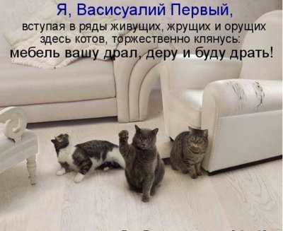 http://i39.servimg.com/u/f39/15/99/40/99/prev11.jpg