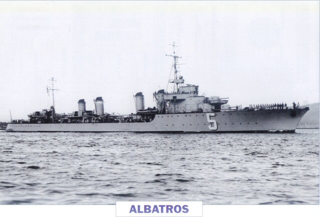 albatr10.jpg