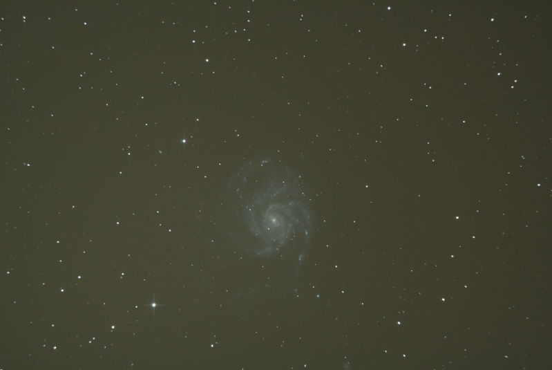 m10111.jpg