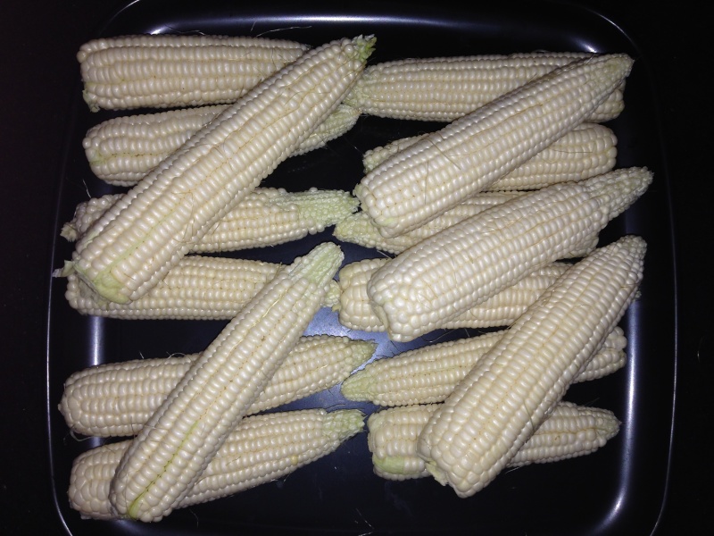 corn_s12.jpg