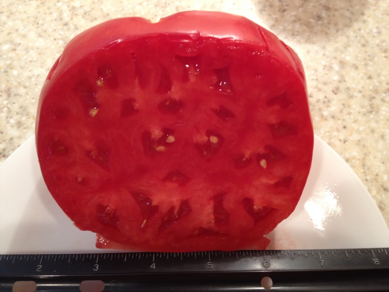 tomato12.jpg