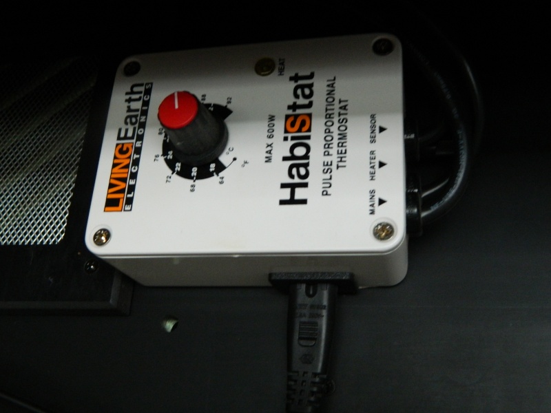 dscn1524.jpg