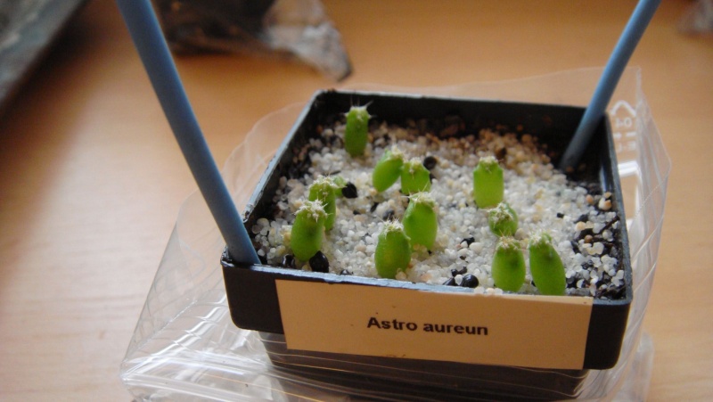 astro_12.jpg
