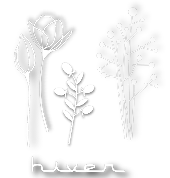 http://i39.servimg.com/u/f39/18/52/70/23/jardin10.png