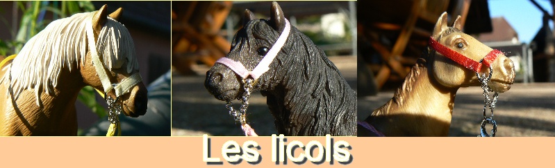 licols10.jpg