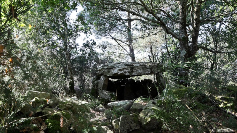dolmen13.jpg