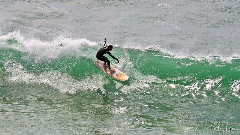 surf11.jpg