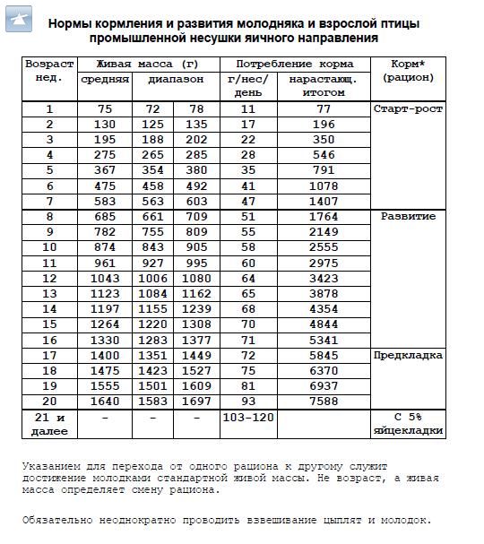 Вес цыпленка таблица. Вес кур несушек по дням таблица. Вес цыплят несушек по дням таблица. Вес цыпленка несушки в 1 месяц. Схема кормления бройлеров кормами.