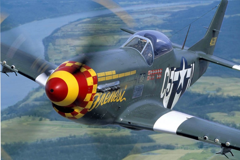 p-51_m10.jpg