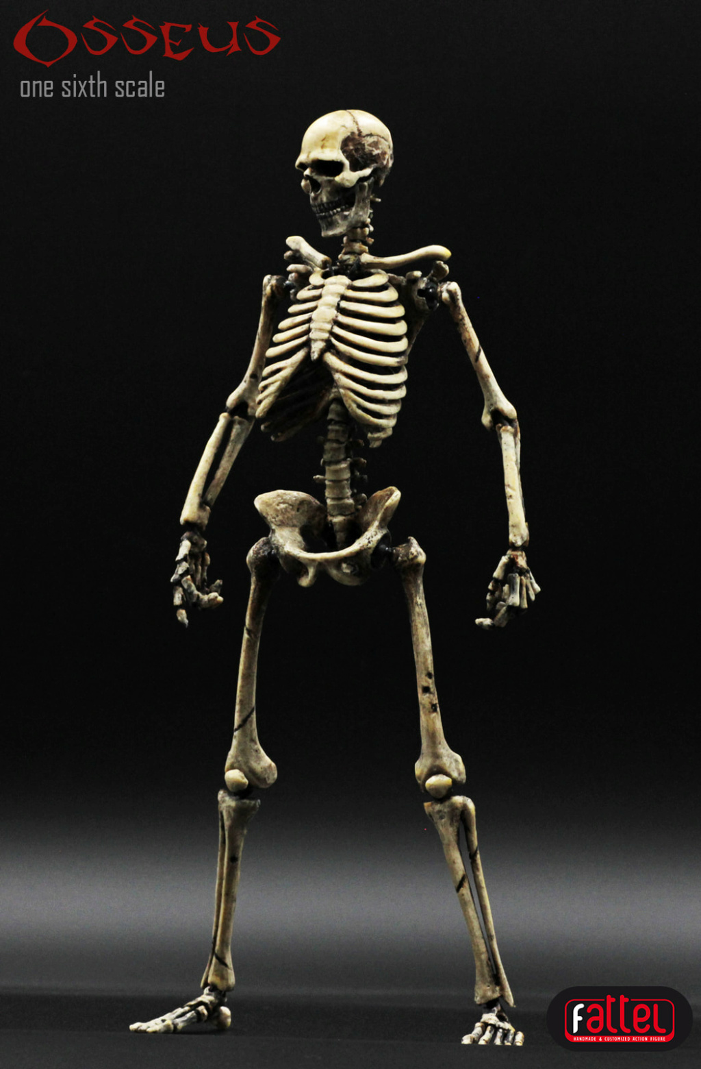 skelet12.jpg